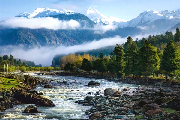  Best Travel Agent in Srinagar