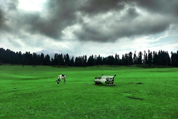  Best Travel Agency Srinagar