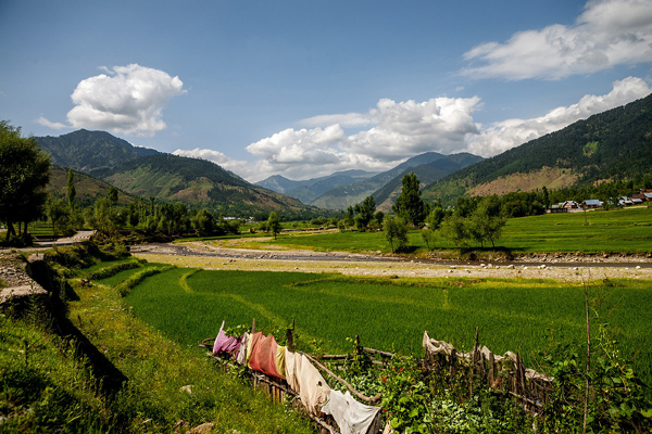    Best Tour and Travel Srinagar