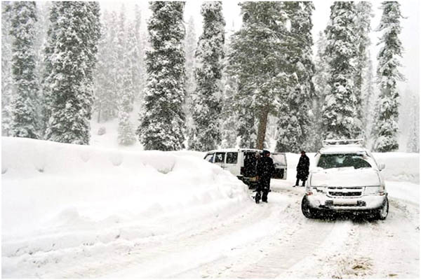 Tour Operator in Srinagar