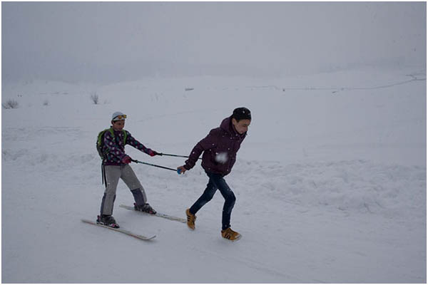 Tour Planner  in Srinagar